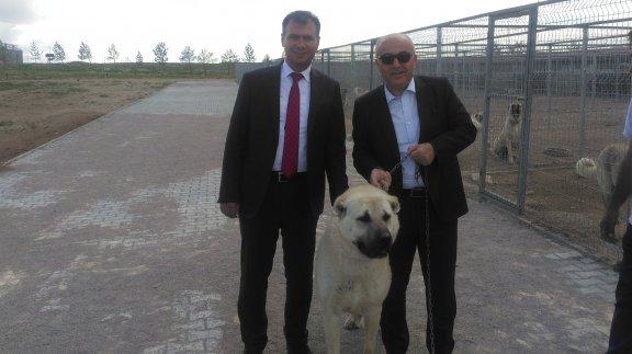 Milli Eğitim Bakanı Müsteşar Yardımcısı Yusuf BÜYÜK Kangal Balıklı Kaplıca ve Kangal Köpek Çiftliğini ziyarette bulundu.